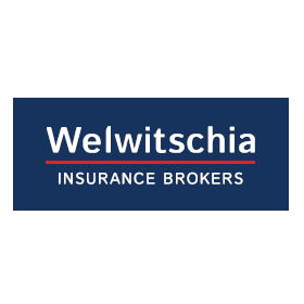 Welwitschia